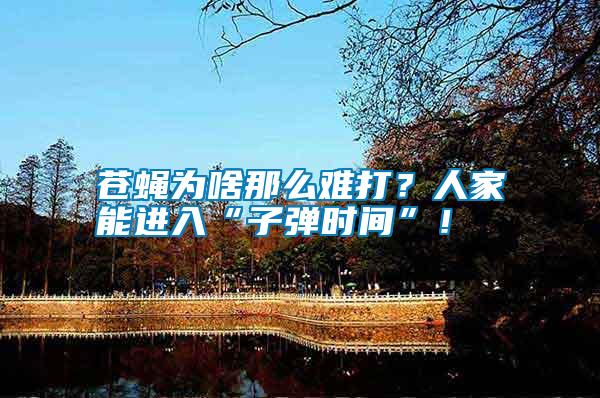蒼蠅為啥那么難打？人家能進(jìn)入“子彈時(shí)間”！