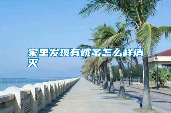 家里發現有跳蚤怎么樣消滅