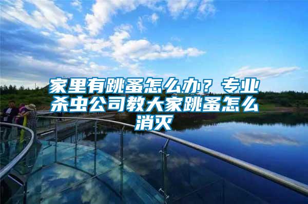 家里有跳蚤怎么辦？專(zhuān)業(yè)殺蟲(chóng)公司教大家跳蚤怎么消滅