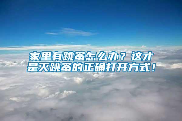 家里有跳蚤怎么辦？這才是滅跳蚤的正確打開方式！