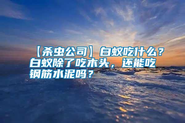 【殺蟲公司】白蟻吃什么？白蟻除了吃木頭，還能吃鋼筋水泥嗎？