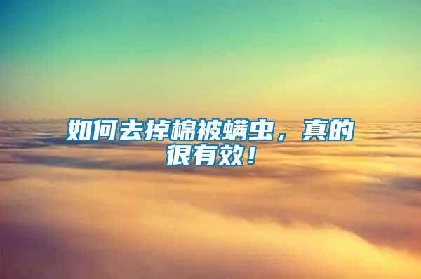 如何去掉棉被螨蟲，真的很有效！