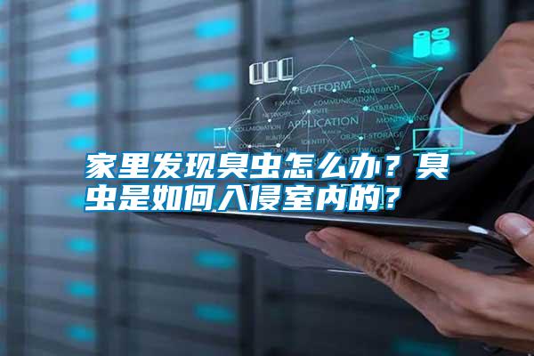 家里發(fā)現(xiàn)臭蟲怎么辦？臭蟲是如何入侵室內(nèi)的？