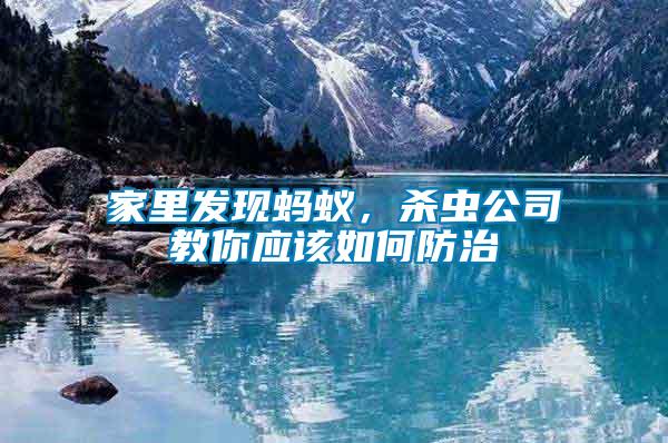 家里發現螞蟻，殺蟲公司教你應該如何防治