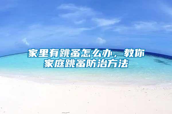 家里有跳蚤怎么辦，教你家庭跳蚤防治方法