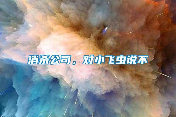 消殺公司，對(duì)小飛蟲(chóng)說(shuō)不