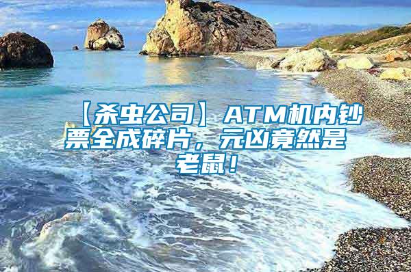 【殺蟲公司】ATM機內(nèi)鈔票全成碎片，元兇竟然是老鼠！