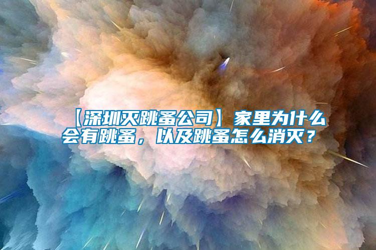 【深圳滅跳蚤公司】家里為什么會有跳蚤，以及跳蚤怎么消滅？