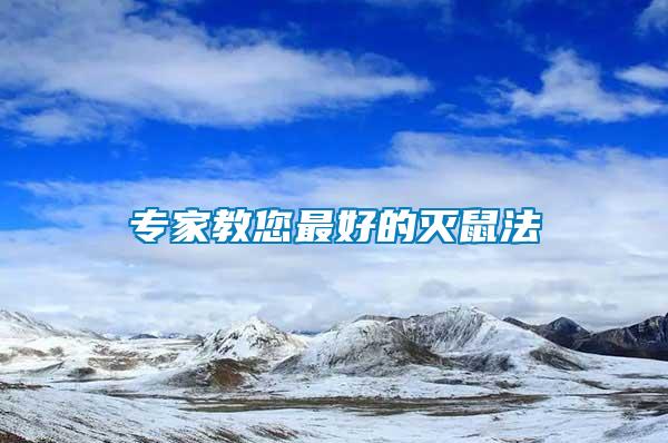 專(zhuān)家教您最好的滅鼠法