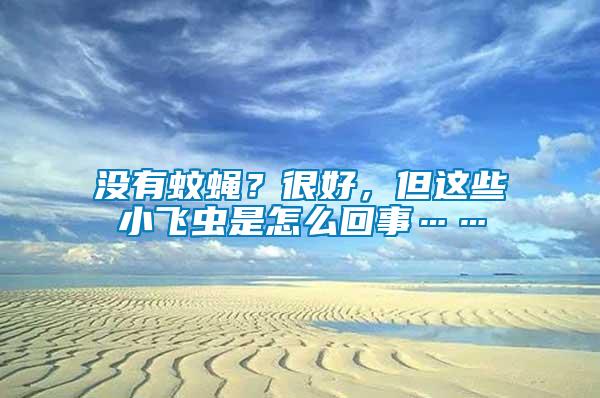 沒有蚊蠅？很好，但這些小飛蟲是怎么回事……