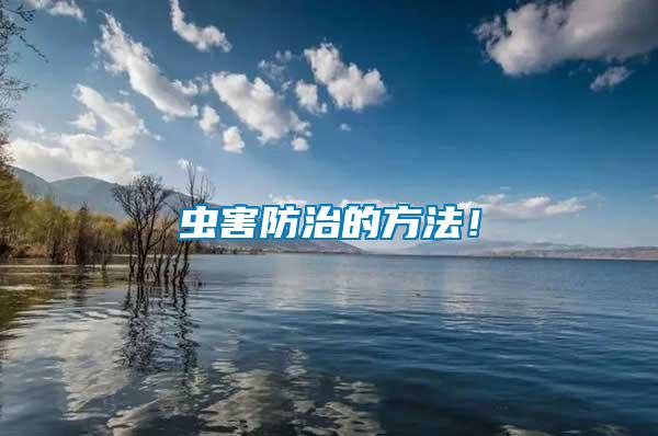 蟲(chóng)害防治的方法！