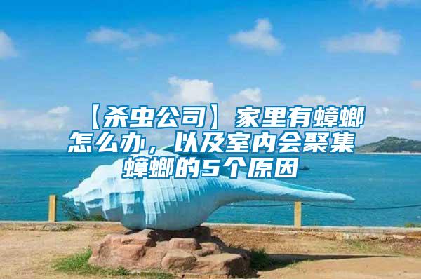 【殺蟲(chóng)公司】家里有蟑螂怎么辦，以及室內(nèi)會(huì)聚集蟑螂的5個(gè)原因