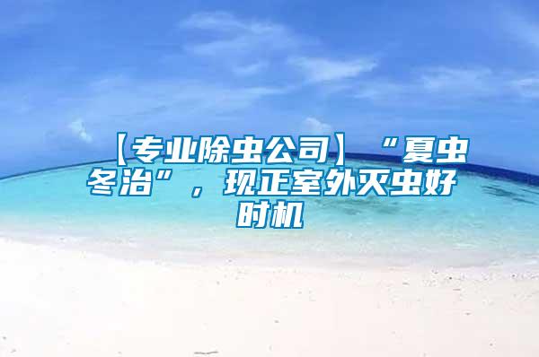 【專業(yè)除蟲公司】“夏蟲冬治”，現(xiàn)正室外滅蟲好時(shí)機(jī)