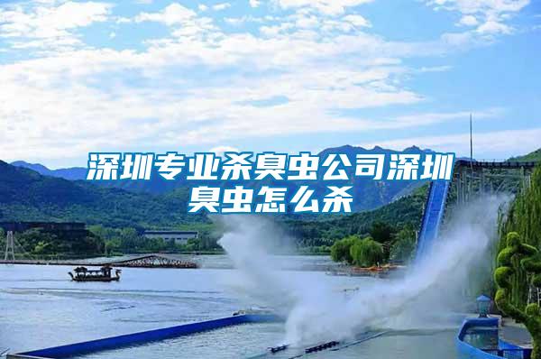 深圳專業殺臭蟲公司深圳臭蟲怎么殺