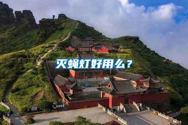 滅蠅燈好用么？