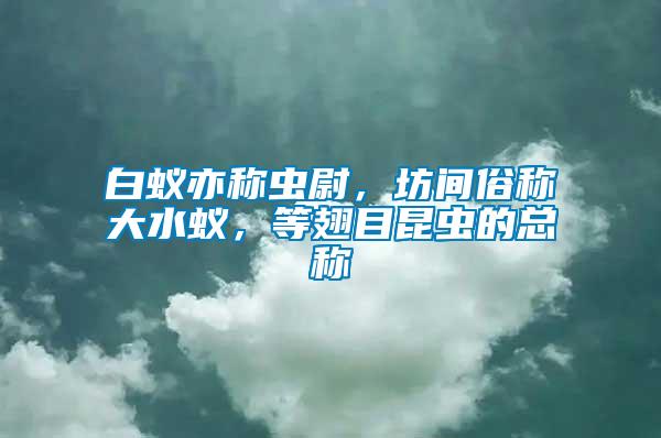 白蟻亦稱蟲(chóng)尉，坊間俗稱大水蟻，等翅目昆蟲(chóng)的總稱
