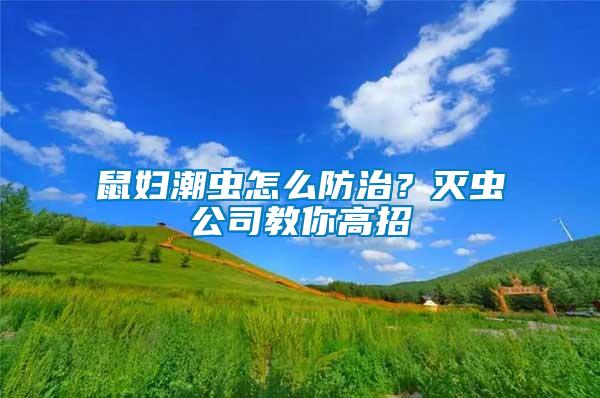 鼠婦潮蟲(chóng)怎么防治？滅蟲(chóng)公司教你高招