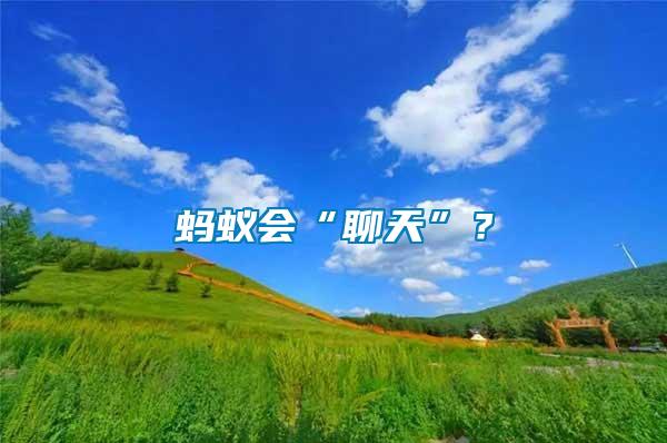 螞蟻會(huì)“聊天”？