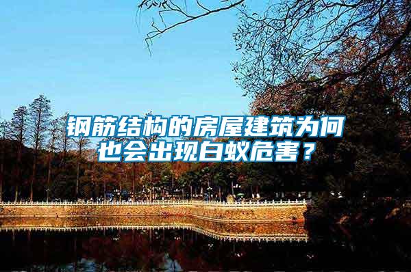 鋼筋結構的房屋建筑為何也會出現白蟻危害？