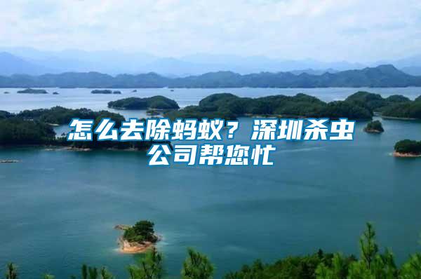 怎么去除螞蟻？深圳殺蟲(chóng)公司幫您忙