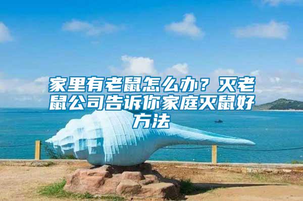 家里有老鼠怎么辦？滅老鼠公司告訴你家庭滅鼠好方法