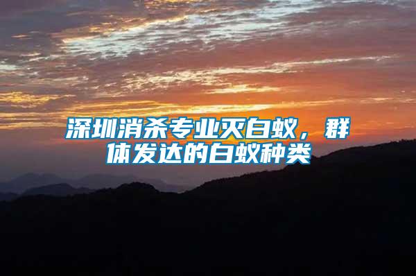 深圳消殺專業(yè)滅白蟻，群體發(fā)達(dá)的白蟻種類