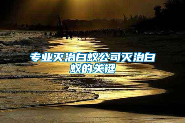 專業(yè)滅治白蟻公司滅治白蟻的關鍵