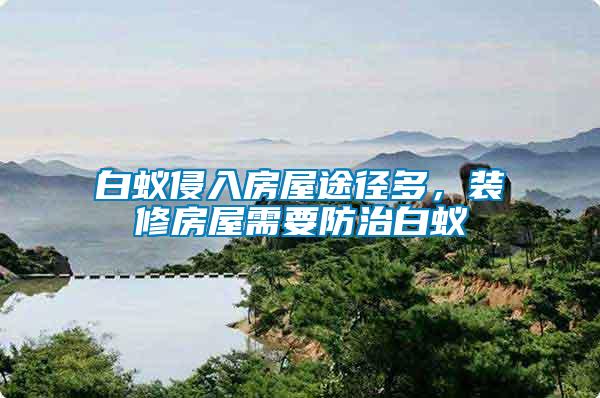 白蟻侵入房屋途徑多，裝修房屋需要防治白蟻