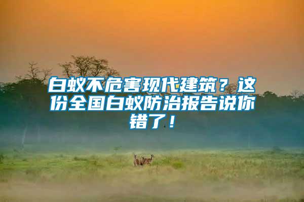 白蟻不危害現代建筑？這份全國白蟻防治報告說你錯了！