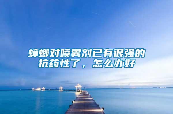 蟑螂對噴霧劑已有很強的抗藥性了，怎么辦好