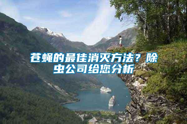 蒼蠅的最佳消滅方法？除蟲公司給您分析