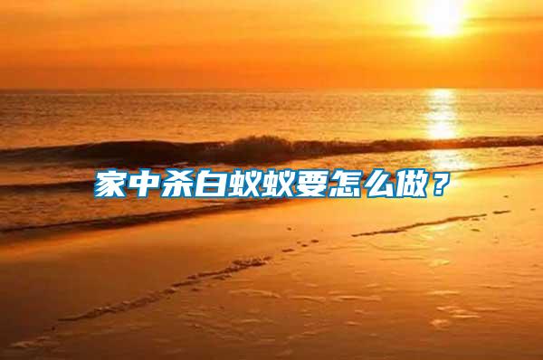 家中殺白蟻蟻要怎么做？