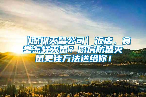 【深圳滅鼠公司】飯店、食堂怎樣滅鼠？廚房防鼠滅鼠更佳方法送給你！