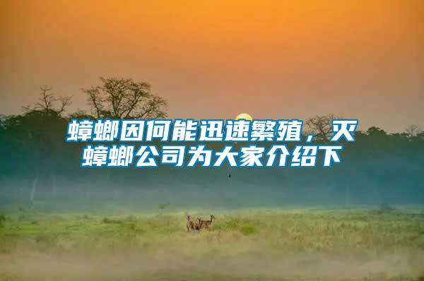 蟑螂因何能迅速繁殖，滅蟑螂公司為大家介紹下