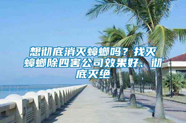 想徹底消滅蟑螂嗎？找滅蟑螂除四害公司效果好、徹底滅絕