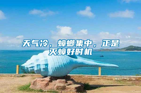 天氣冷，蟑螂集中，正是滅蟑好時機