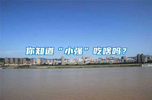你知道“小強”吃啥嗎？