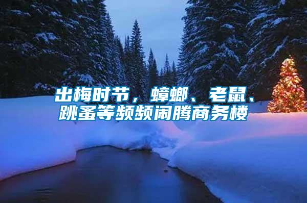 出梅時節，蟑螂、老鼠、跳蚤等頻頻鬧騰商務樓