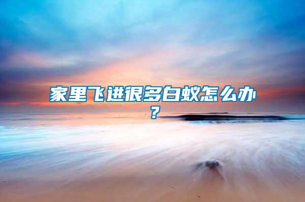 家里飛進很多白蟻怎么辦？
