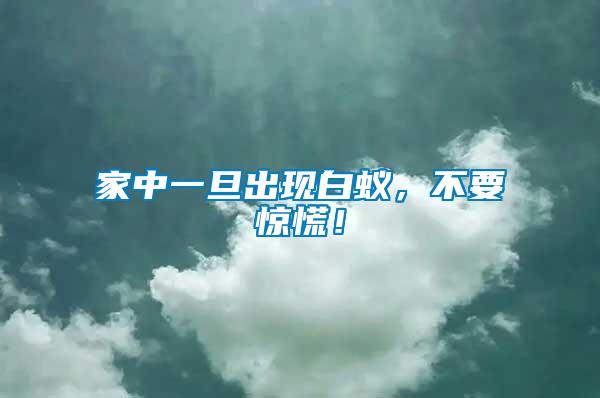 家中一旦出現白蟻，不要驚慌！