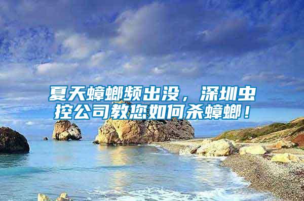 夏天蟑螂頻出沒，深圳蟲控公司教您如何殺蟑螂！