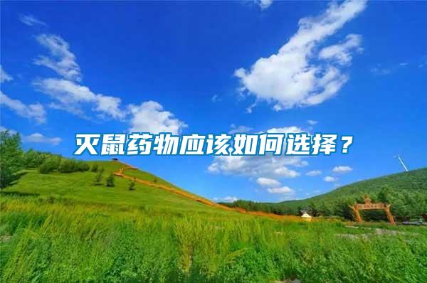 滅鼠藥物應該如何選擇？