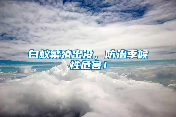 白蟻繁殖出沒，防治季候性危害！
