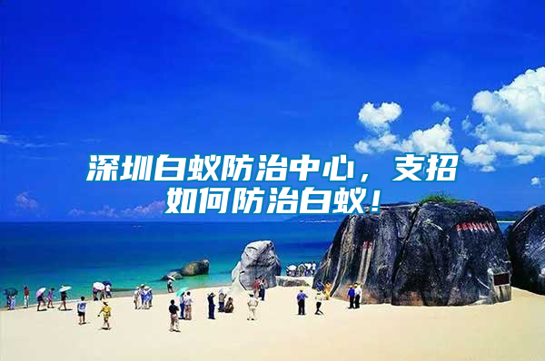深圳白蟻防治中心，支招如何防治白蟻！