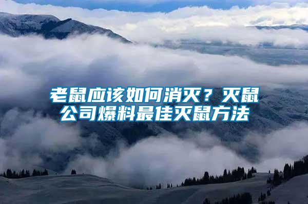 老鼠應該如何消滅？滅鼠公司爆料最佳滅鼠方法