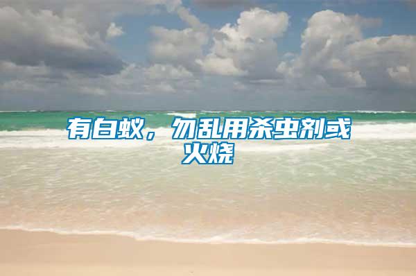 有白蟻，勿亂用殺蟲(chóng)劑或火燒