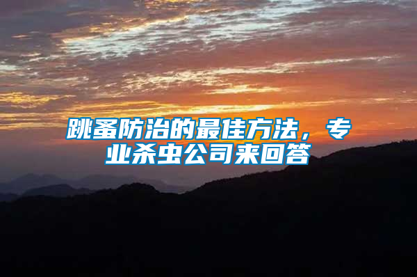 跳蚤防治的最佳方法，專業(yè)殺蟲公司來回答