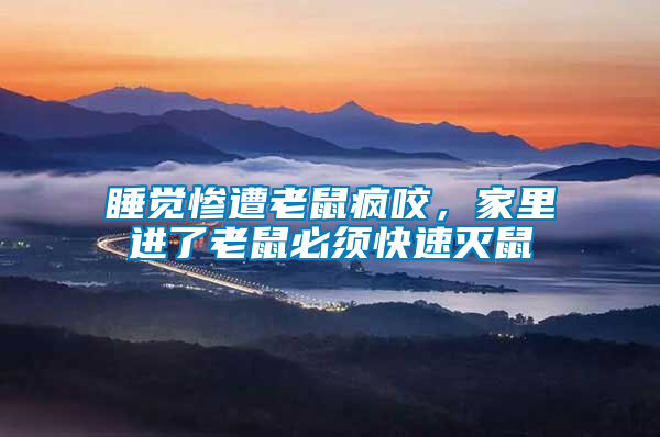 睡覺慘遭老鼠瘋咬，家里進(jìn)了老鼠必須快速滅鼠