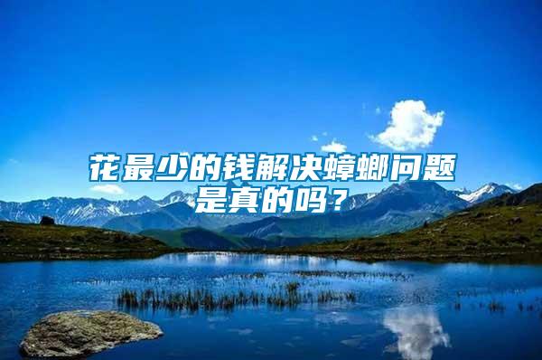 花最少的錢(qián)解決蟑螂問(wèn)題是真的嗎？