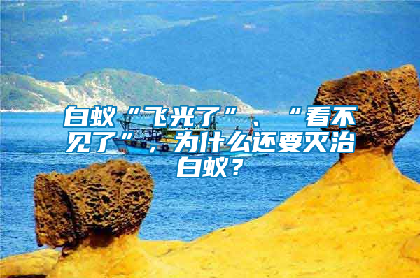 白蟻“飛光了”、“看不見了”，為什么還要滅治白蟻？